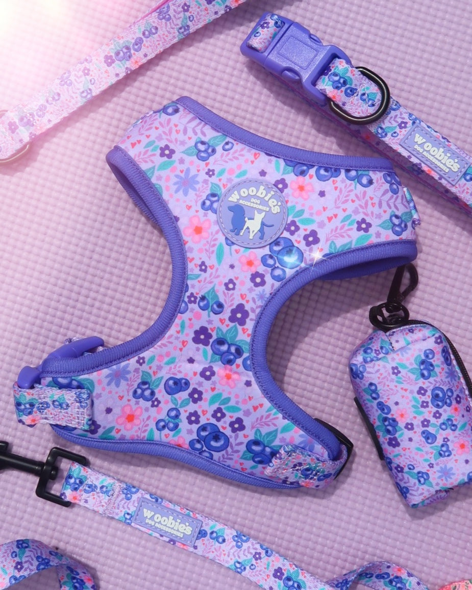 Adjustable Harness: Blueberry Burst