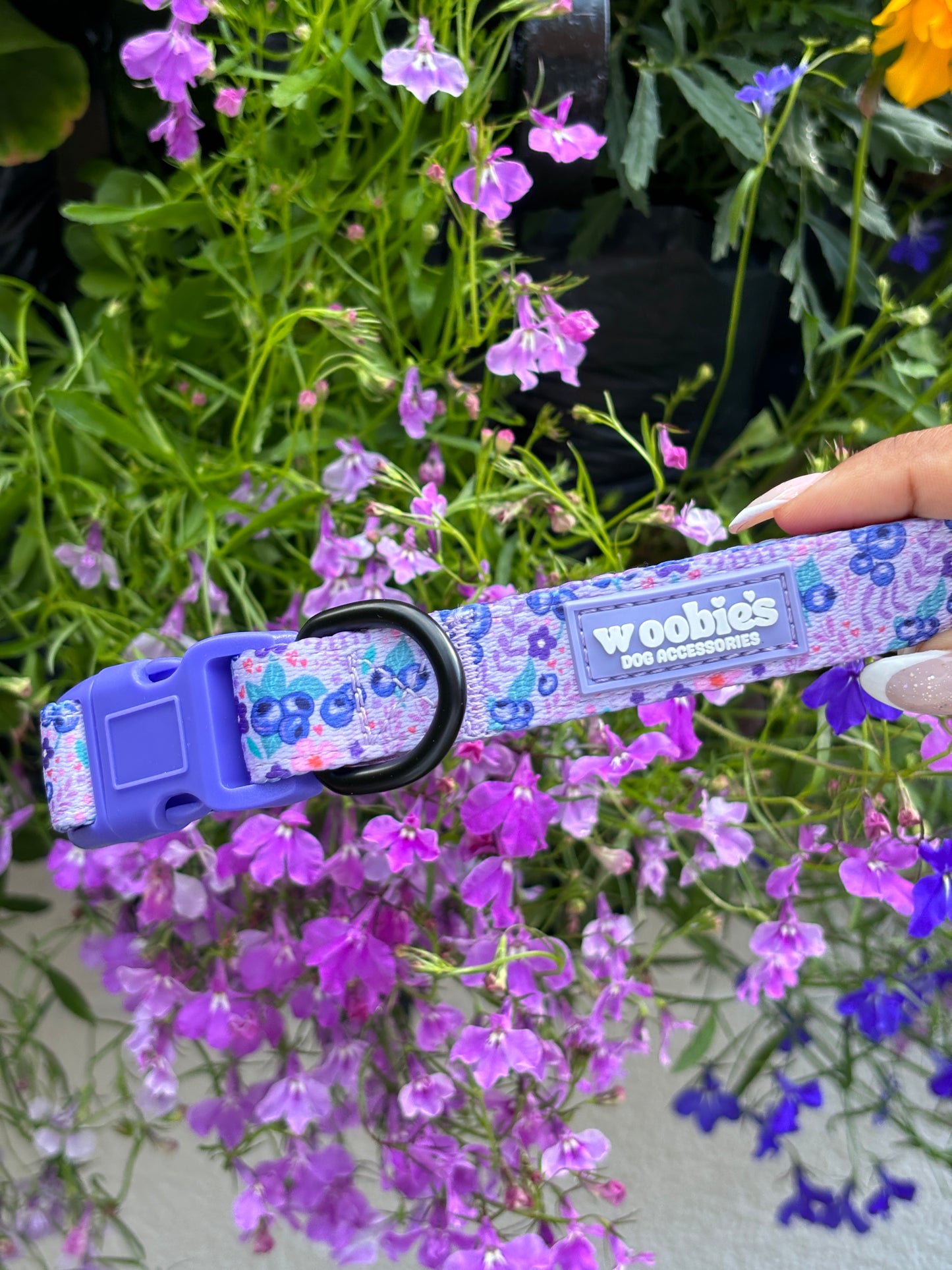 Adjustable Dog Collar: Blueberry Burst