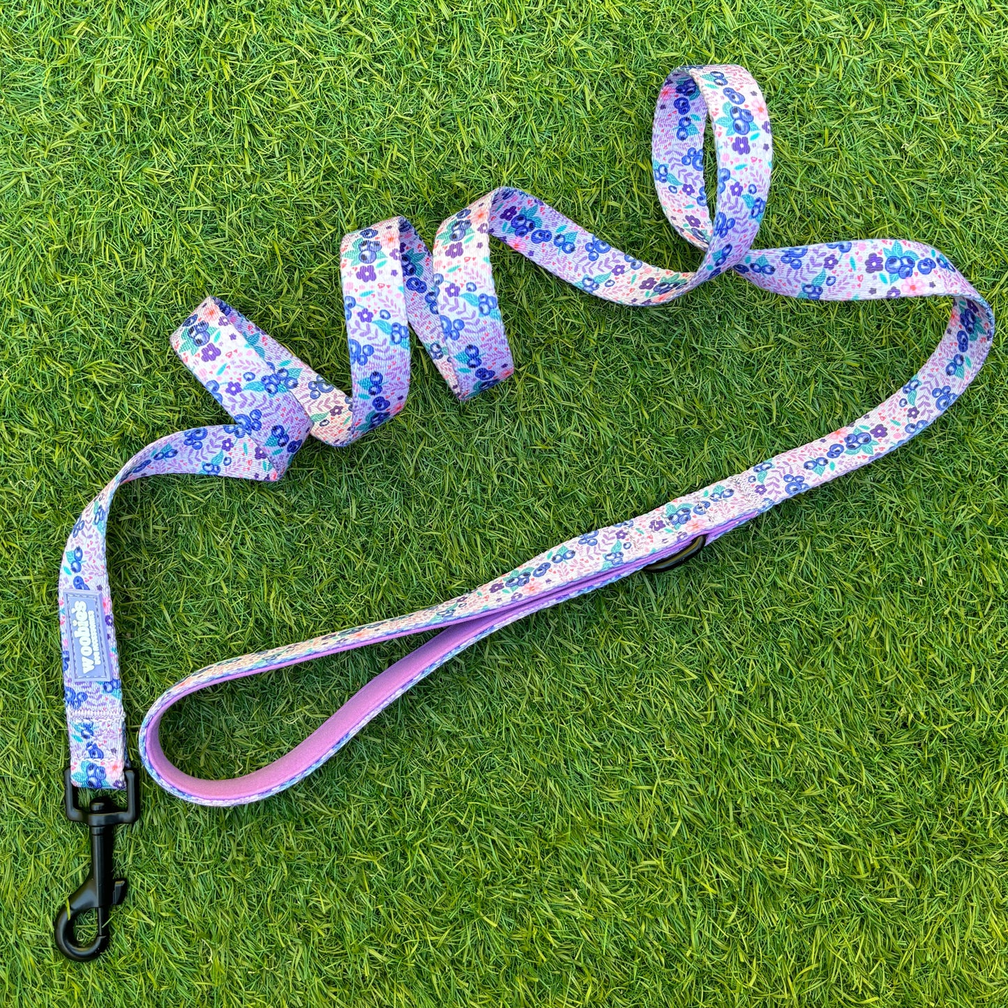 Lead: Blueberry Burst