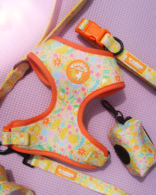 Adjustable Harness: Lemon Zest