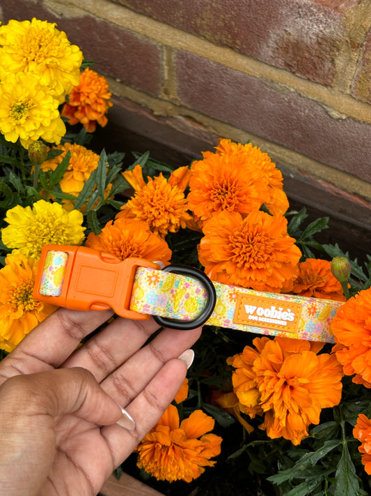 Adjustable Dog Collar: Lemon Zest