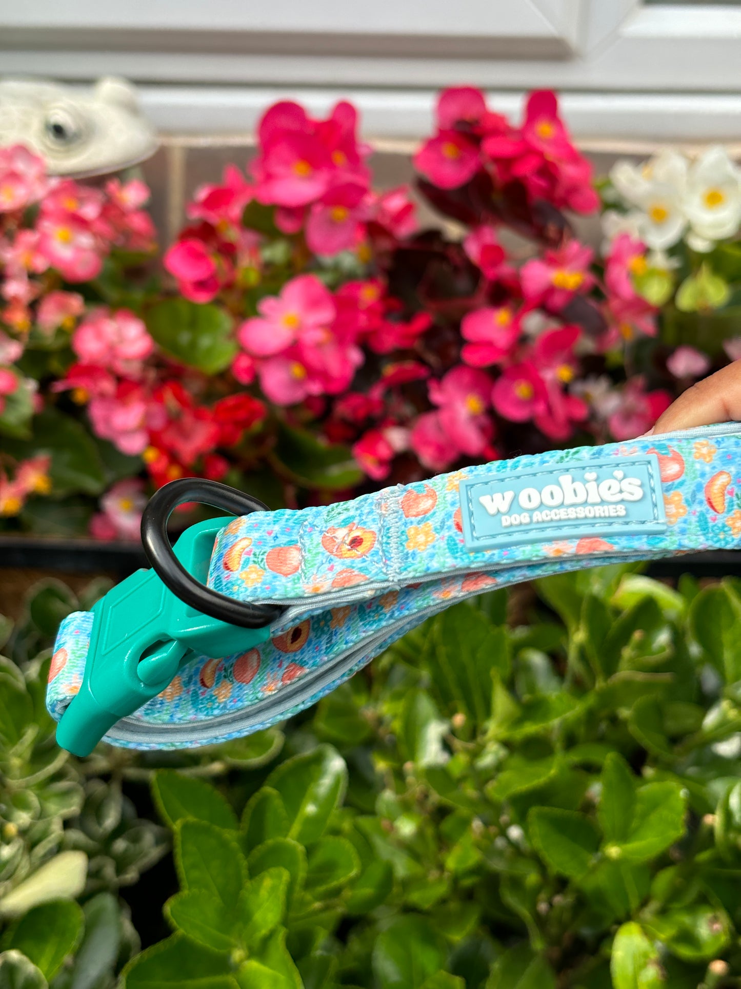 Adjustable Dog Collar: Peach Paradise