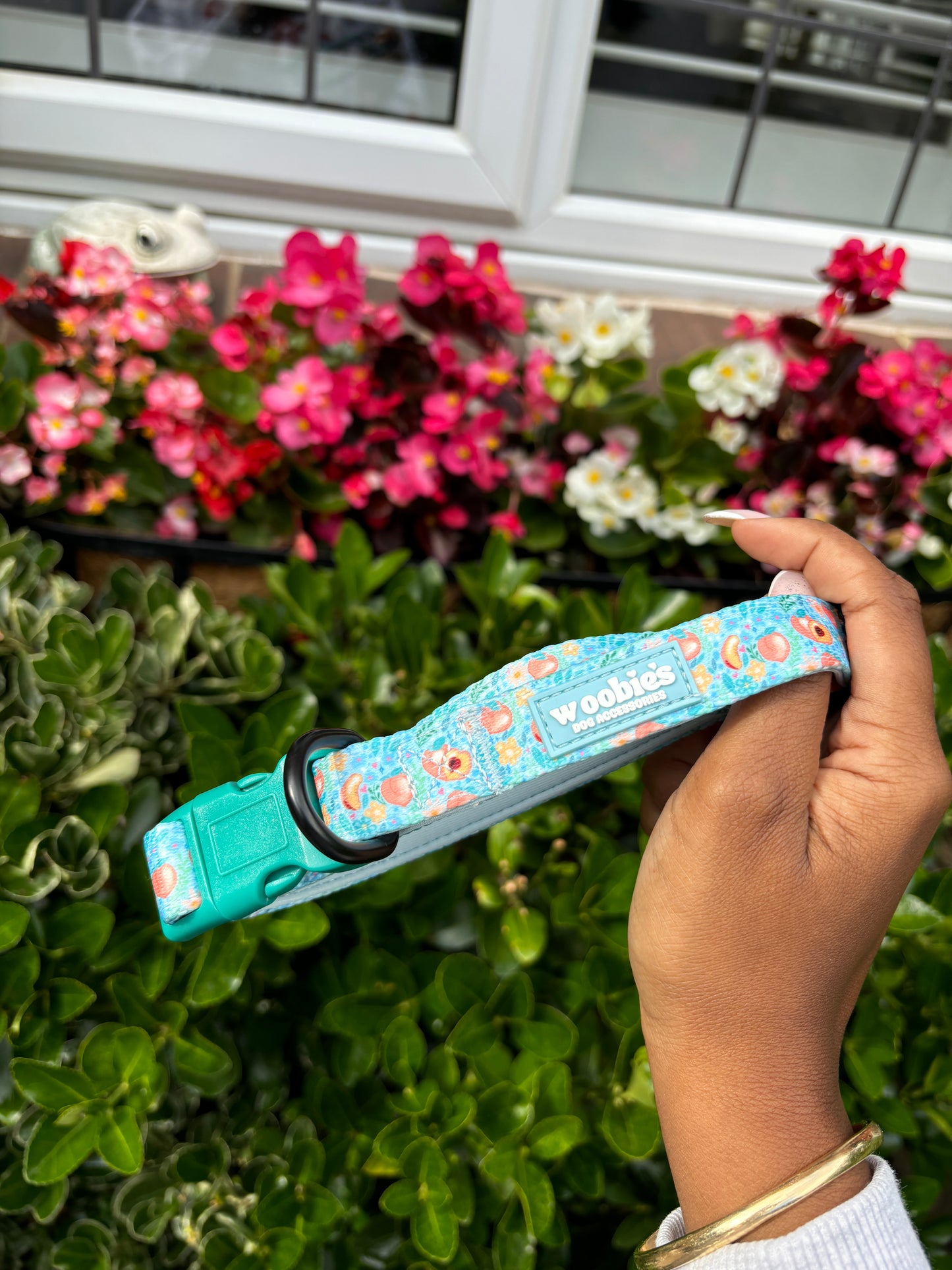 Adjustable Dog Collar: Peach Paradise